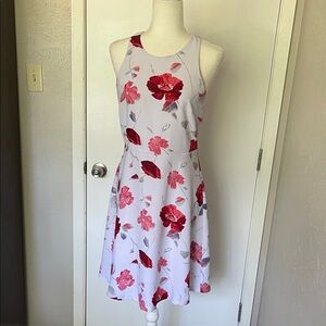 Banana Republic Red and White Floral Mini Dress